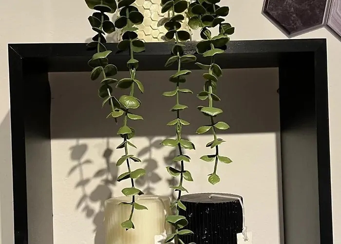 Appartement John's *